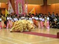 迎奧運6月1日東區龍獅賽【農圃道官立小學7.86分】地青組