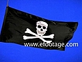 BLUESCREEN - PIRATE FLAG - 1 - HD