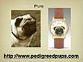 Dog Breed Watches