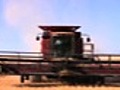 Combine in wheat field