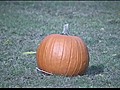 Pumpkin Vs Airbag