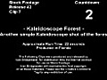 Kaleidoscope Forest (2008)