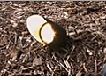 Outdoor Lighting - Installing a Bullet Light