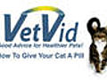 How To Give Your Cat a Pill - VetVid Episode 020