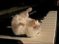 Hamster On A Piano (Eating Popcorn)