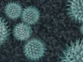 HD - Animation of Virus (Loopable)