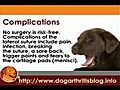 Dog Arthritis Cruciate Ligament Surgery