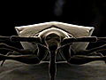 Monsters Inside Me: Bedbug Experiment