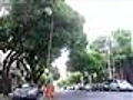 PA: pés de manga causam prejuízos a motoristas