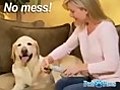PediPaws - Pet Grooming Clipper As Seen on TV