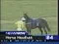 Jockey Caught On Tape Head-Butting Horse