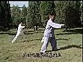 陈式心意混元24式太极拳