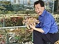 Martin Yan’s Hong Kong  - Hong Kong On Water