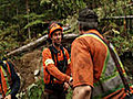 Lemare Lake Logging