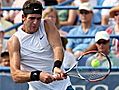 TENNIS: Del Potro beats Roddick in ATP Washington final