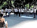 Festive Marriage Proposal At The Park