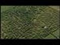 Check Out This Huge Corn Maze