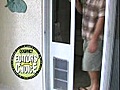 DoggieDoors - Petsafe Pet Doors For Your Dog or Cat