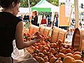 Farmers Market Shoppers