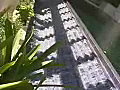 Royalty Free Stock Video SD Footage Zoom Out to Water Feature at a Hotel in Cancun,  Mexico