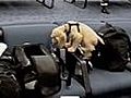 Puppies on a Plane