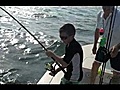 Shark Fishing trip with Grand Pa