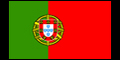 Language Translation Portuguese: Nine