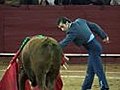 Last stand in battle for Ecuador bullfighting