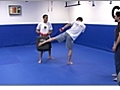 Muay Thai Kickboxing - How to Throw a Low Kick