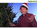 Grumpy Gardener: How To Choose a Christmas Tree