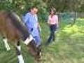 Barbaro In Recovery: A Little Stroll/Jog On All (4)-Legs