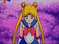 Sailor Moon ~ Gefährliche Blumen 5/6