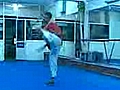 ashihara karate