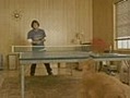 INCREIBLE PING PONG EUROPEO