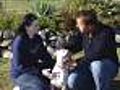 Party For Dogs Raises Money
