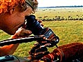 Great Migrations - Camera in Flight