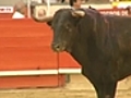 Bullfighting - art,  heritage or barbarism?