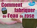 Comment fabriquer de l’eau de rose