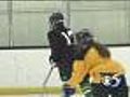 Sectional Hockey Preview