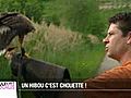 Le portrait de l’un des derniers fauconniers de Suisse romande: le jurassien Christophe Keller