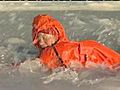 Prince Harry goes for an icy Arctic dip