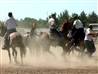 Prisoners train horses for border patrol