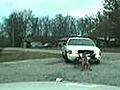 VIDEO: Dog attacks police car bumper