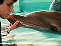 Dolphin Tale - Trailer #2