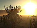 Burning Man Lotus