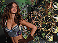 Victoria’s Secret Fashion Show               // video added December 04,  2009            // 0 comments             //                             // Embed video: