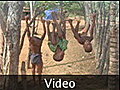 26. VIDEO - Jungle Gym - Himba, Namibia