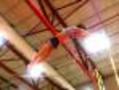 Harvard Pole Vaulter Springs To New Heights