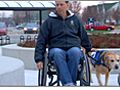 Living with Disabilities & Assistance Dog Etiquette
