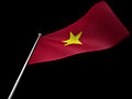 Vietnam Flag Stock Footage